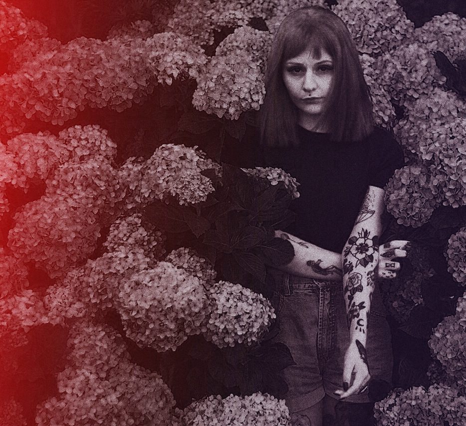 hydrangea blooms and the voice of culture hydrangea blooms and the voice of culture