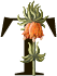 KD – Floral Letters-46 KD – Floral Letters-46