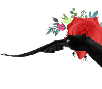 side-right