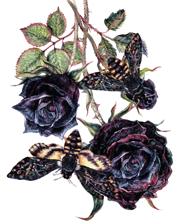 WATCM Flowers_Dangle Flower WATCM Flowers_Dangle Flower