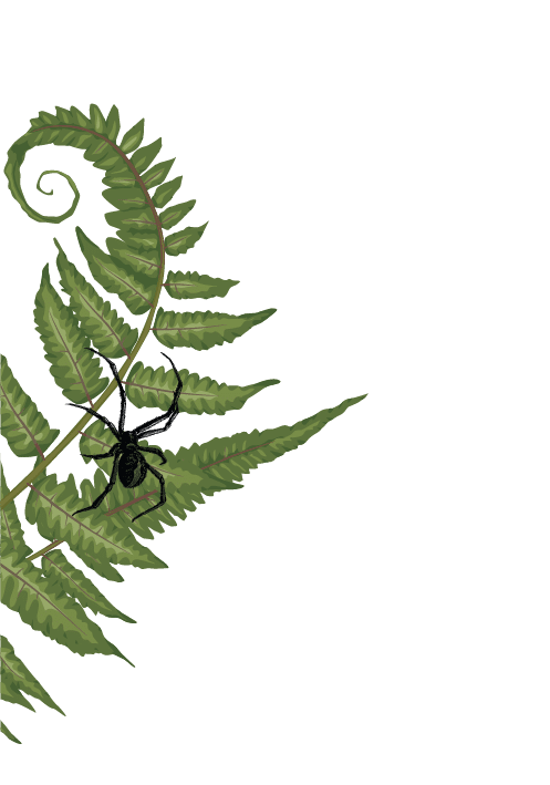 FLORA - SIDE ELEMENT 03