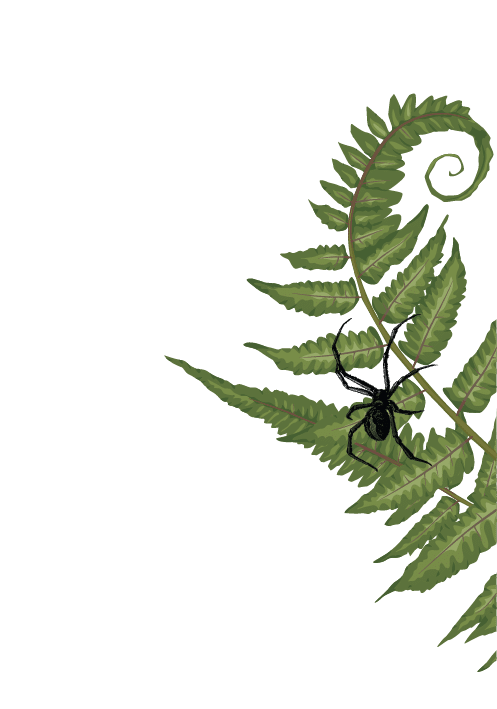 FLORA - SIDE ELEMENT 04