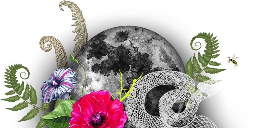 Home Collage Moon Home Collage Moon